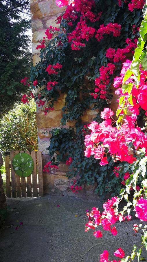 Alea Casa Rural La Posada Del Alba المظهر الخارجي الصورة